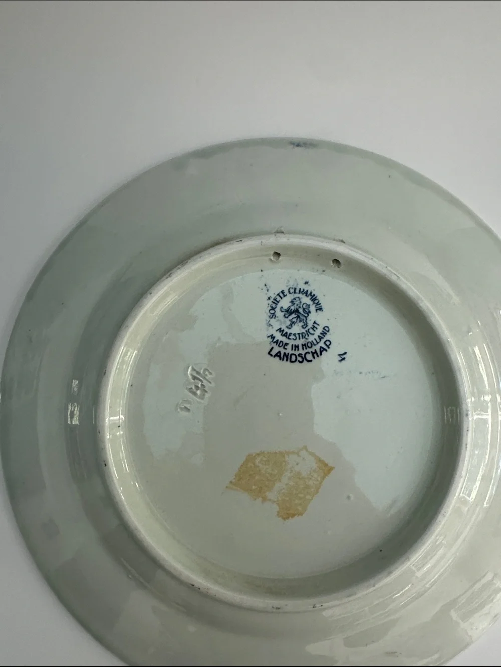 Blue Scenic Transferware Decorative Dinner Plate